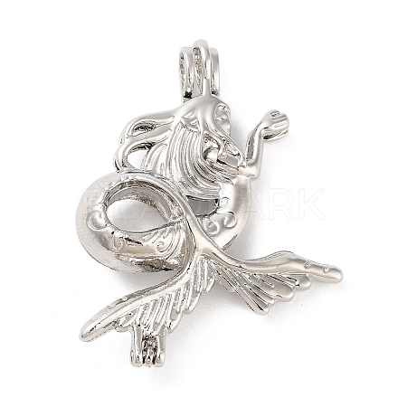 Alloy Bead Cage Pendants FIND-M012-01A-P-1