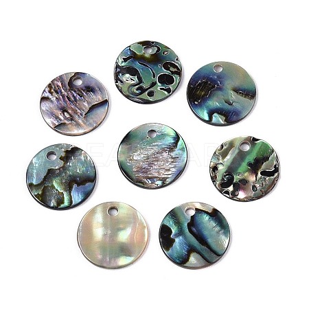 Natural Paua Shell Disc Charms SSHEL-N040-19A-1
