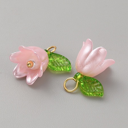 Acrylic Charms LS-KY-TAC0009-03C-1