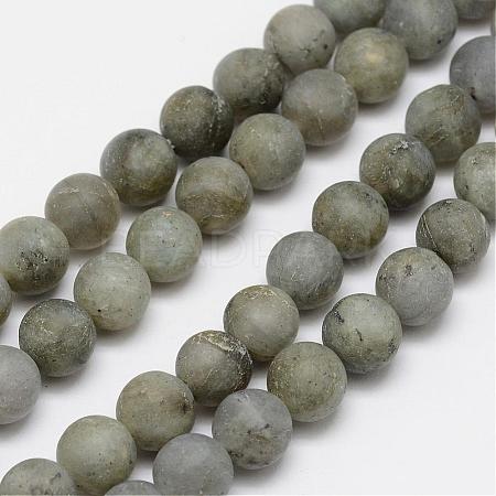 Natural Labradorite Frosted Bead Strands G-O155-04B-6mm-1