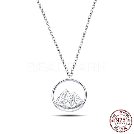 Rhodium Plated 925 Sterling Silver Pendant Necklaces NJEW-BB48083-E-1