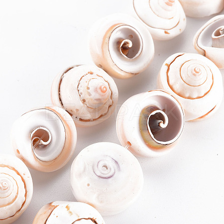 Natural Spiral Shell Bead Strands X-SSHEL-N034-106-1