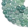 Natural Green Fluorite Beads Strands G-K340-A03-10mm-01-4