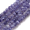 Natural White Shell Dyed Beads Strands BSHE-Z005-03C-1