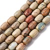 Natural Aqua Terra Jasper Beads Strands G-L624-C03-14x10mm-2