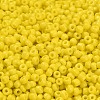 8/0 Opaque Colours Round Glass Seed Beads X-SEED-A010-3mm-42-3
