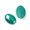 Natural Malachite Cabochons G-E557-03I-1