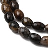 Natural Petrified Wood Beads Strands G-K362-I11-02-4