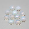 Opalite Cabochons G-R416-6mm-49-1