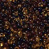 Transparent Colours Glass Seed Beads SEED-P006-02A-10-3
