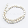 Natural Cultured Freshwater Pearl Beads Strands PEAR-K003-24A-2