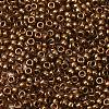 MIYUKI Round Rocailles Beads SEED-G009-RR0457L-2