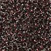 6/0 Transparent Colours Glass Seed Beads SEED-P006-01A-02-3