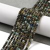 Natural HuBei Turquoise Beads Strands G-J400-C13-02-2