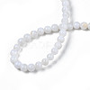 Natural Freshwater Shell Beads Strands X-SHEL-N003-24-A01-4