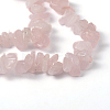 Natural Rose Quartz Beads Strands X-F007-3