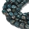 Natural Apatite Beads Strands G-R445-8x10-24A-4