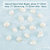   Natural Spiral Shell Beads SHEL-PH0001-42-4