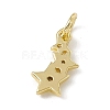 Brass Micro Pave Cubic Zirconia Charms ZIRC-F132-18G-2