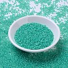 MIYUKI Round Rocailles Beads SEED-JP0008-RR0572-2