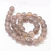 Natural Grey Agate Bead Strands G-K155-D-10mm-F01-2