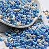 Opaque Baking Paint Glass Seed Beads SEED-K009-01A-29-1