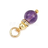 5Pcs 5 Styles Natural Green Aventurine & Rose Quartz & Amethyst & Dyed White Jade & Citrine Round Charms PALLOY-JF04363-4