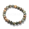 Natural Rhyolite Jasper Stretch Beaded Bracelets G-A185-01S-1