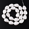 Electroplate Natural Freshwater Shell Beads Strands SHEL-R049-026A-3
