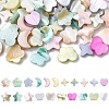 60Pcs 6 Styles Macaron Color Natural Shell Dyed Beads BSHE-CJ0001-13-1