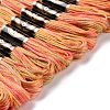 10 Skeins 6-Ply Polyester Embroidery Floss OCOR-K006-A24-2