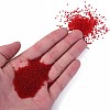 15/0 Transparent Czech Glass Seed Beads SEED-N004-004-27-5