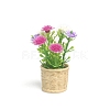 Plastic Flower Plant Miniature Ornaments PW-WGAEB14-01-1