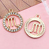 Zinc Alloy Crystal Rhinestone Pendants WGC2D94-08-1