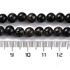 Dyed Natural Regalite/Imperial Jasper/Sea Sediment Jasper Beads Strands G-B124-C02-05-3