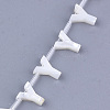 Natural Sea Shell Beads X-SHEL-T012-60Y-2