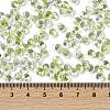 6/0 Spray Paint Fringe Glass Seed Beads X1-SEED-H003-11N-4
