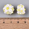 Handmade Lampwork Enamel Beads LAMP-Z020-05-3