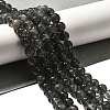 Natural Biotite Beads Strands G-F784-A03-02-2