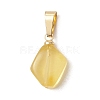 Natural Amber Pendants PALLOY-JF05157-3