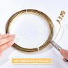 Half Round Brass Wire for Jewelry Making CWIR-WH0003-02-A-6