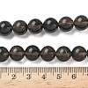 Natural Ice Obsidian Beads Strands G-P590-A01-10mm-02-3