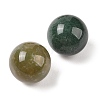 Natural Indian Agate No Hole Sphere Beads G-K353-04D-09-2