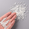 (Repacking Service Available) Glass Seed Beads SEED-C019-2mm-41-4