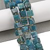 Natural Apatite Beads Strands G-G053-B18-03-2