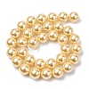 Electroplated Shell Pearl Beads Strands BSHE-G041-12mm-01-2