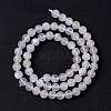 Natural Rainbow Moonstone Beads Strands G-I249-B04-04-4