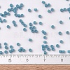 MIYUKI Delica Beads SEED-X0054-DB0798-4