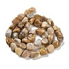 Natural Fossil Coral Beads Strands G-P497-01E-36-3