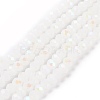 Electroplate Glass Beads Strands EGLA-A034-J6mm-L08-1